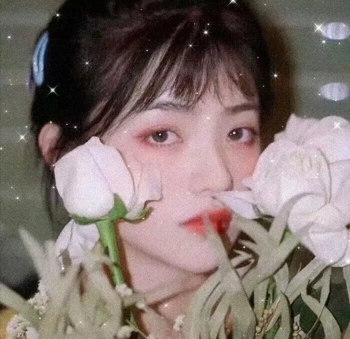 火星罗宾森